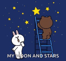 cony cony and brown cony brown love couple