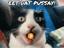 Eet Dat Pussay Bitcoin GIF - Eet Dat Pussay Bitcoin Cat GIFs