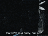a cartoon character is holding a flower and the words so we 're in a hurry are we