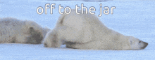 two polar bears laying in the snow with the words " off to the jar " above them