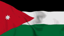 Jordan Gif Flag GIF