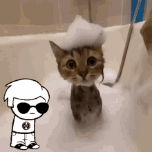 Soggy Cat Cat GIF - Soggy Cat Cat Bath GIFs