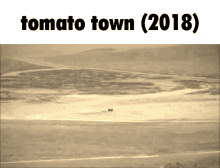 tomato with