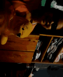 a person holding a winnie the pooh stuffed animal in front of a wooden dresser