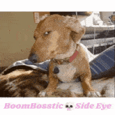 Boombosstic GIF - Boombosstic GIFs