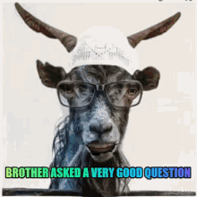Goat Ask GIF - Goat Ask Question GIFs