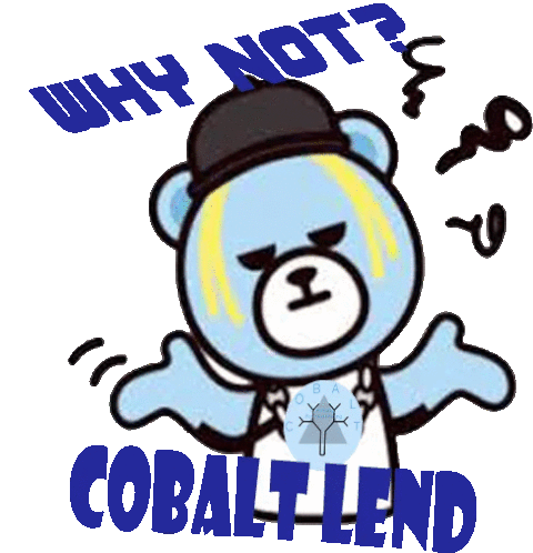 Cobaltlend Cute Bear Sticker - Cobaltlend Cute Bear Why Not Stickers