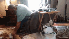 a man is kneeling down next to a husky dog in a living room
