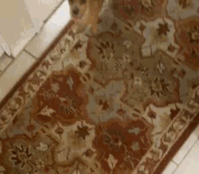 a dog is standing on a rug with a floral pattern .