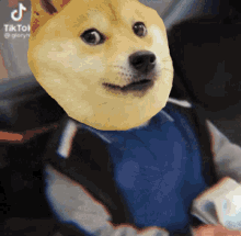 a doge wearing a blue shirt and a black jacket is a tiktok video