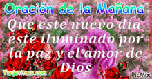 a picture of flowers with the words oración de la mañana