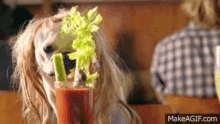 Dog Drink GIF - Dog Drink What Are You Doing GIFs