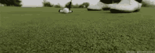 golf grass