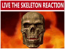 Live Reaction GIF - Live Reaction Skeleton GIFs