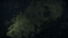 an aerial view of a dark forest with a few lines of light coming out of it
