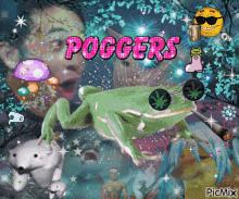 picmix frogs