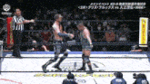 two men are wrestling in a ring with a referee and a sign that says ' addpro ' on it