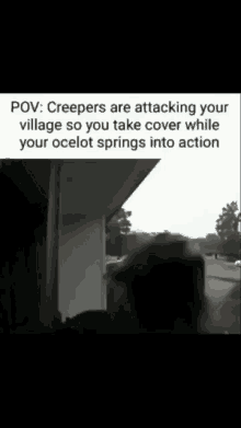 Pov Creepers Are Attacking Village GIF - Pov Creepers Are Attacking Village Oceolot GIFs