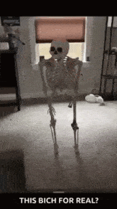 Skeleton Meme Skeleton GIF - Skeleton Meme Skeleton Skeleton Meme GIFs