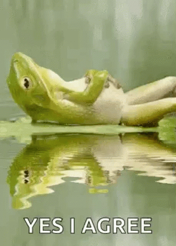 Frog Chill GIF - Frog Chill Yes I Agree - Discover & Share GIFs