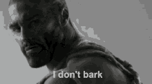 I Dont Bark Bark GIF - I Dont Bark Bark Giga Chad GIFs