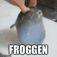 Froggen Pufferfish GIF - Froggen Pufferfish Puffer GIFs