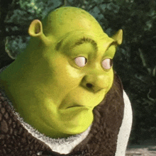 shrek from the movie shrek is wearing a sweater