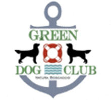 Green Dog Club GIF - Green Dog Club GIFs