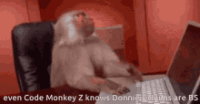 monkey zbs