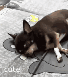 Mini Dog GIF - Mini Dog Sleep GIFs