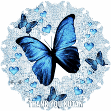 thank you thank you xutan xutan blue butterfly