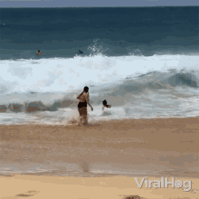 Getting Pushed By The Waves Viralhog GIF