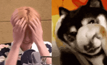 Autismskz Seungmin Puppy GIF - Autismskz Seungmin Puppy Puppy Kpop GIFs