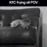 Rat Rat Jumping GIF - Rat Rat Jumping Kfc Frying Oil GIFs