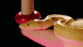 a snake is sitting on a person 's hand