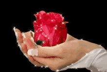 Rose Hand GIF - Rose Hand Sparkle GIFs