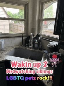 a picture of a kitchen sink with the words wakin up 2 birdwatching siblings lgbtq petz rock !!!
