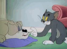 tom and jerry naughty cat messing with you sneaky prankster