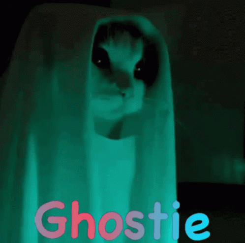 Bobaghostie GIF - Bobaghostie Ghostie GIFs