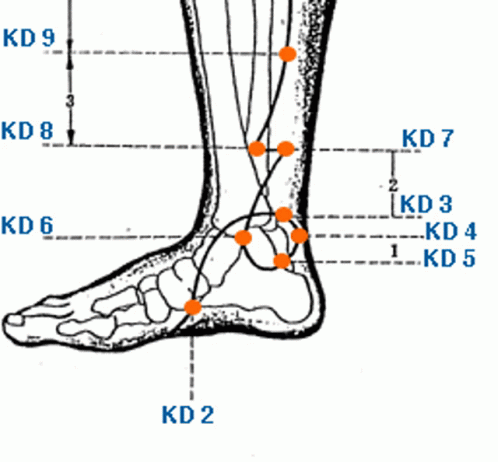 Р 3 точка. Точка акупунктуры kd3. Точка ki6. Точки ki19. Меридиан KD.