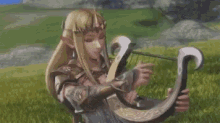 Hyrule Warriors Zelda GIF
