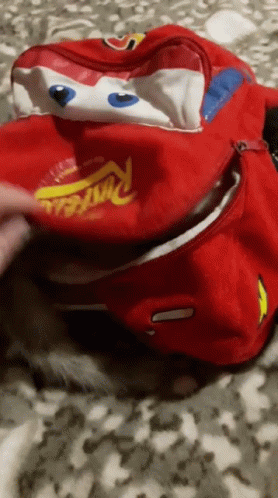 cat-bag.gif