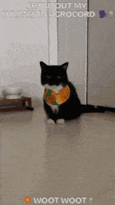 Uni Cat Agrocord GIF - Uni Cat Agrocord Agro GIFs