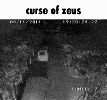Zeus Curse Of Zeus GIF
