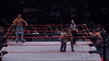 The Boys Tate Twins GIF - The Boys Tate Twins Ring Of Honor GIFs