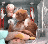 a cat is sitting on another cat 's back in a room