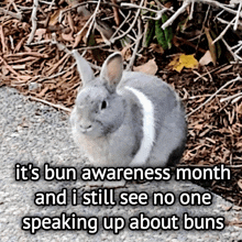 a picture of a rabbit with the caption it 's bun awareness month and i still see no one speaking about buns