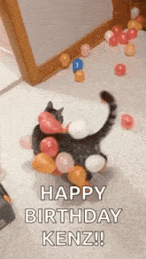 Cats Static GIF