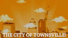 an advertisement for the city of townsville shows a city skyline