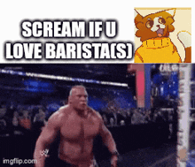 a meme that says scream if u love baristas with a picture of a cat